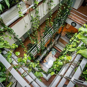 Hotel Picasso Bogota